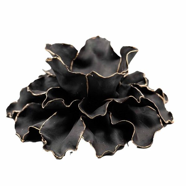 Juodas šeimos židinys