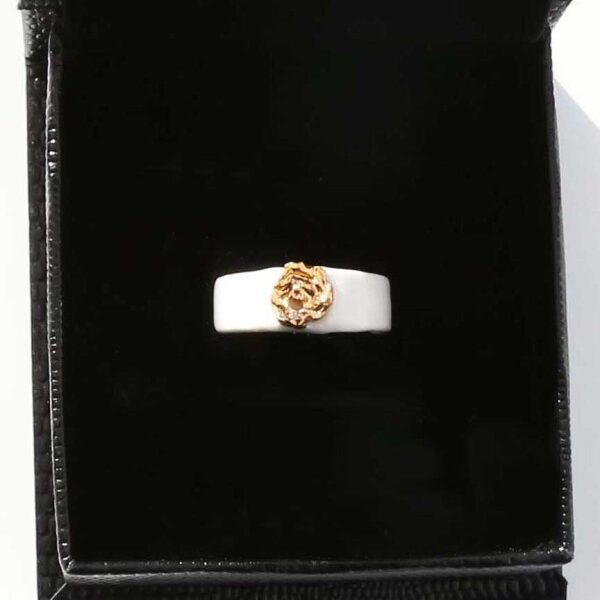 Porceliano žiedas Orion