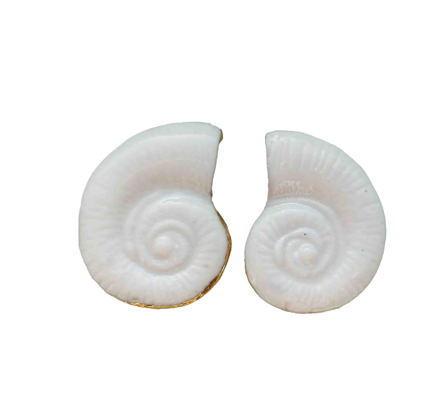 Kriauklės porceliano auskarai