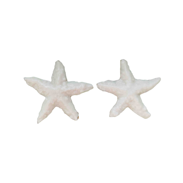 Nida porceliano auskarai