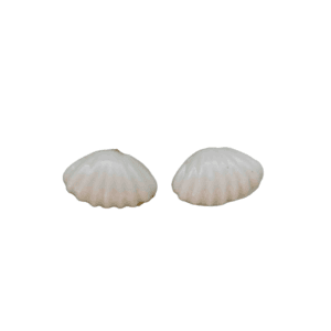 Kriauklytes porceliano auskarai