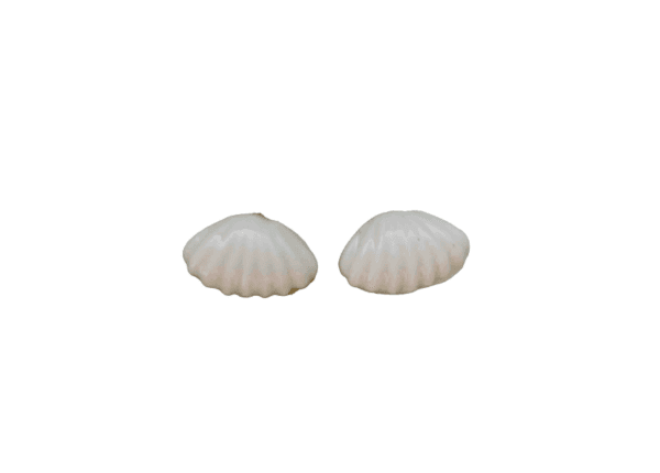 Kriauklytes porceliano auskarai
