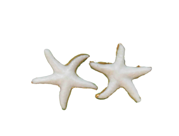 Jūros žvaigždės porceliano auskarai